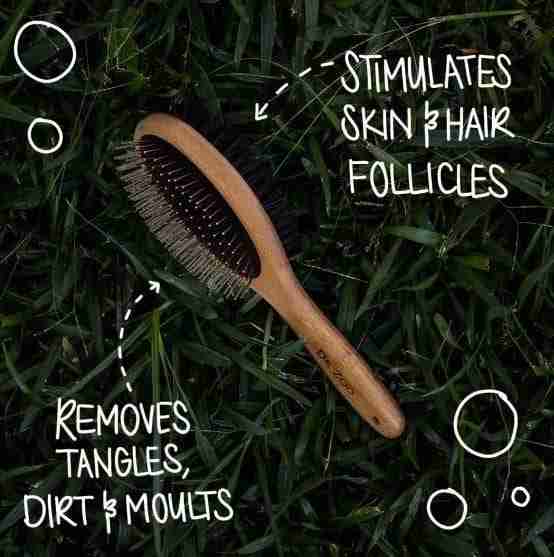 Dr Zoo Bamboo Grooming Brush
