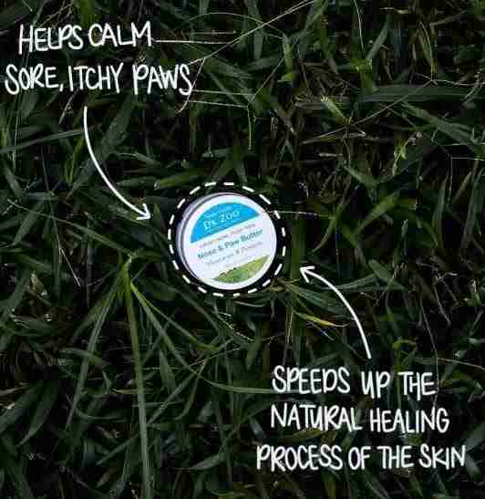 Dr Zoo Crusty Nose, Itchy Toes Nose & Paw Butter 30g