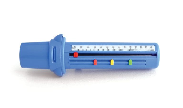 Able Airzone Peak Flow Meter 1 Each