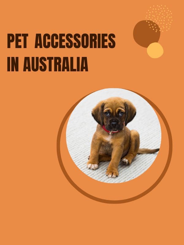 Pet Accessories in Australia