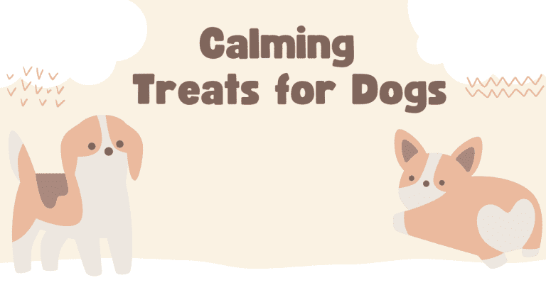 Calming Treats for Dogs: Your Guide to a Happier, Less Anxious Pup