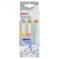 PIGEON TRAINING TOOTHBRUSH SET